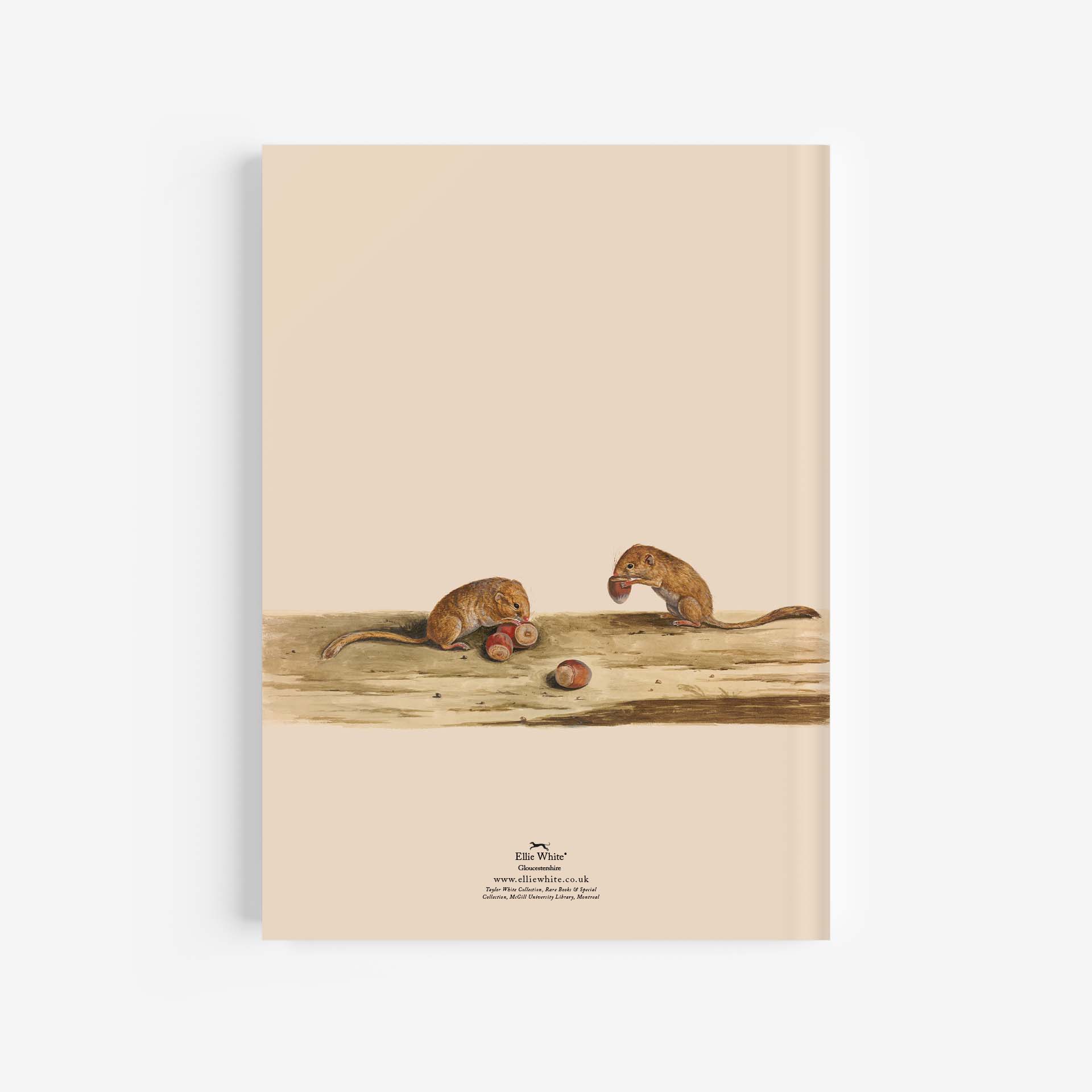 Dormouse A4 Journal / Notebook Rear Cover