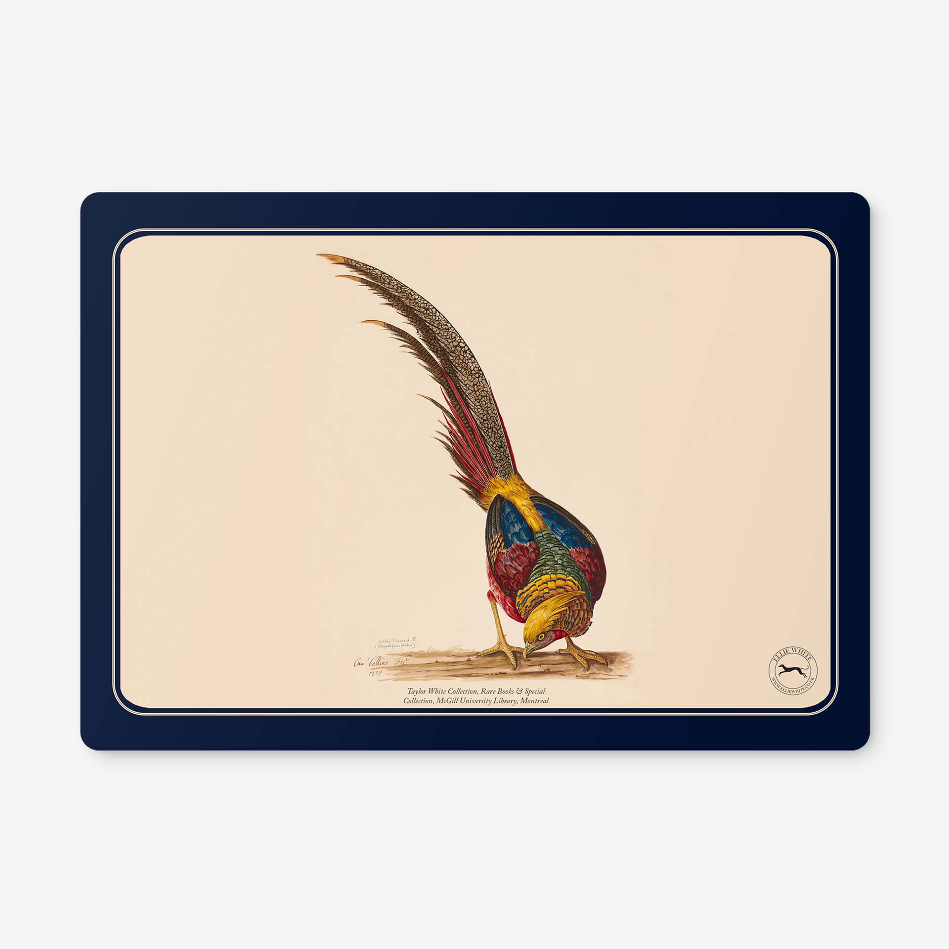 Golden Pheasant Placemats