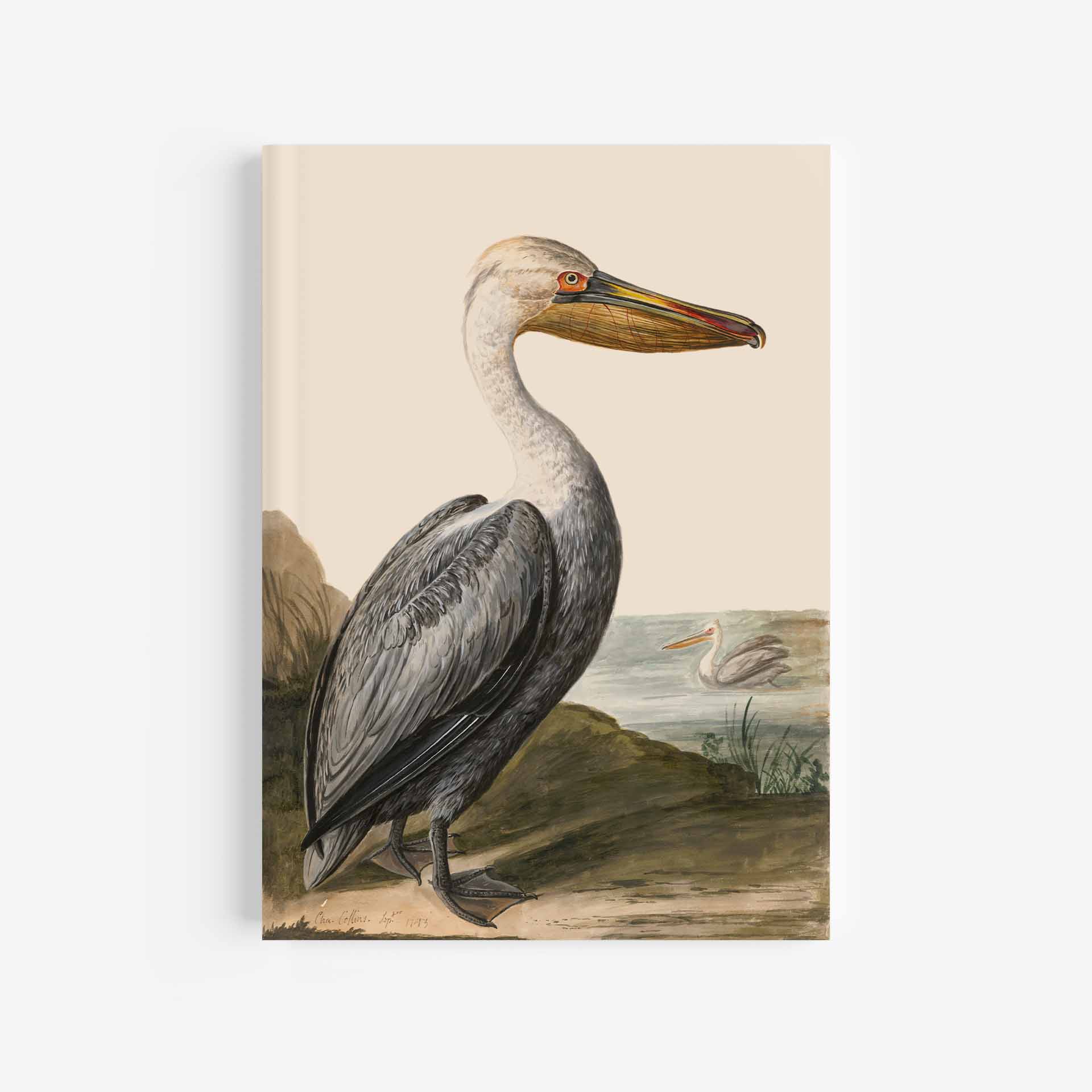 Pelican Journal / Notebook - 5in x 7in