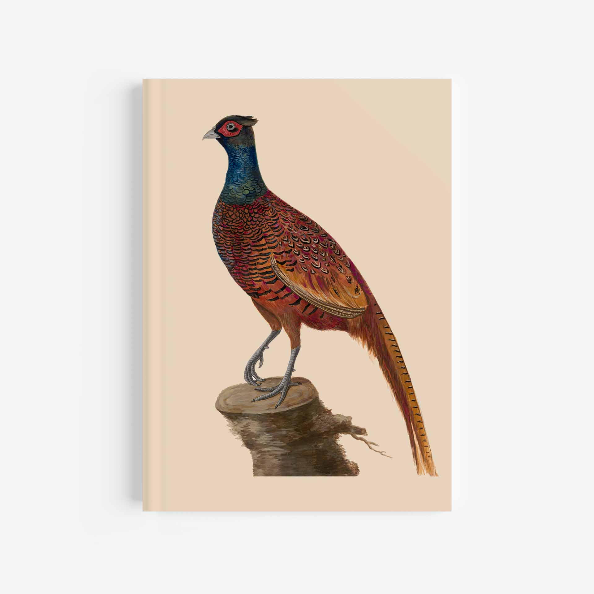 Pheasant Journal / Notebook - 5in x 7in