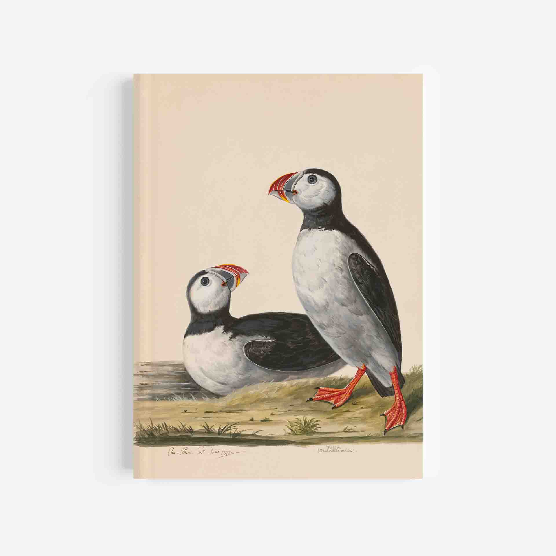 Puffin Journal / Notebook - 5in x 7in