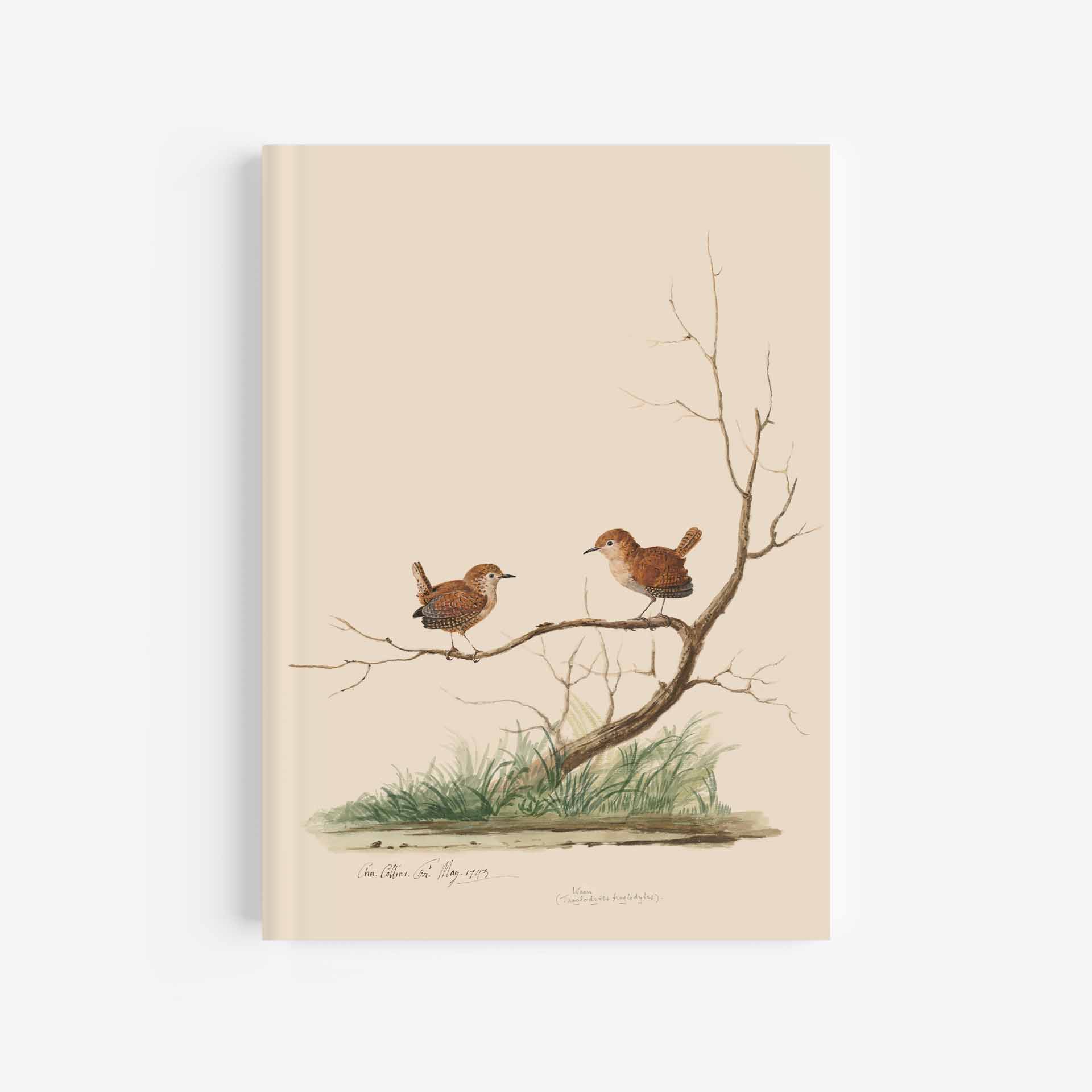Wren Journal / Notebook - 5in x 7in