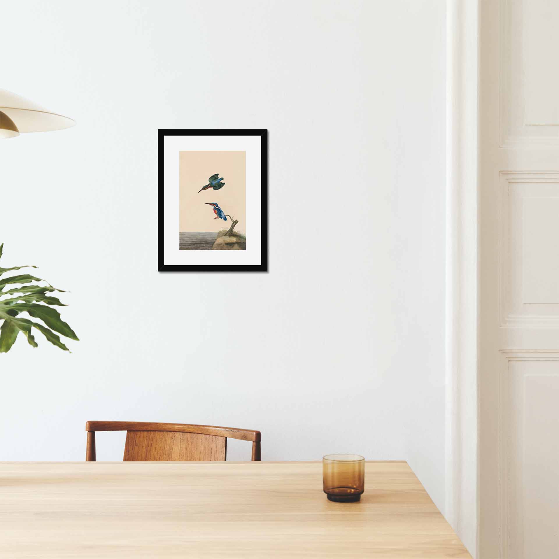 A Pair Of Kingfishers In A Black Frame With Off-White Mount - 12&Quot; X 16&Quot;