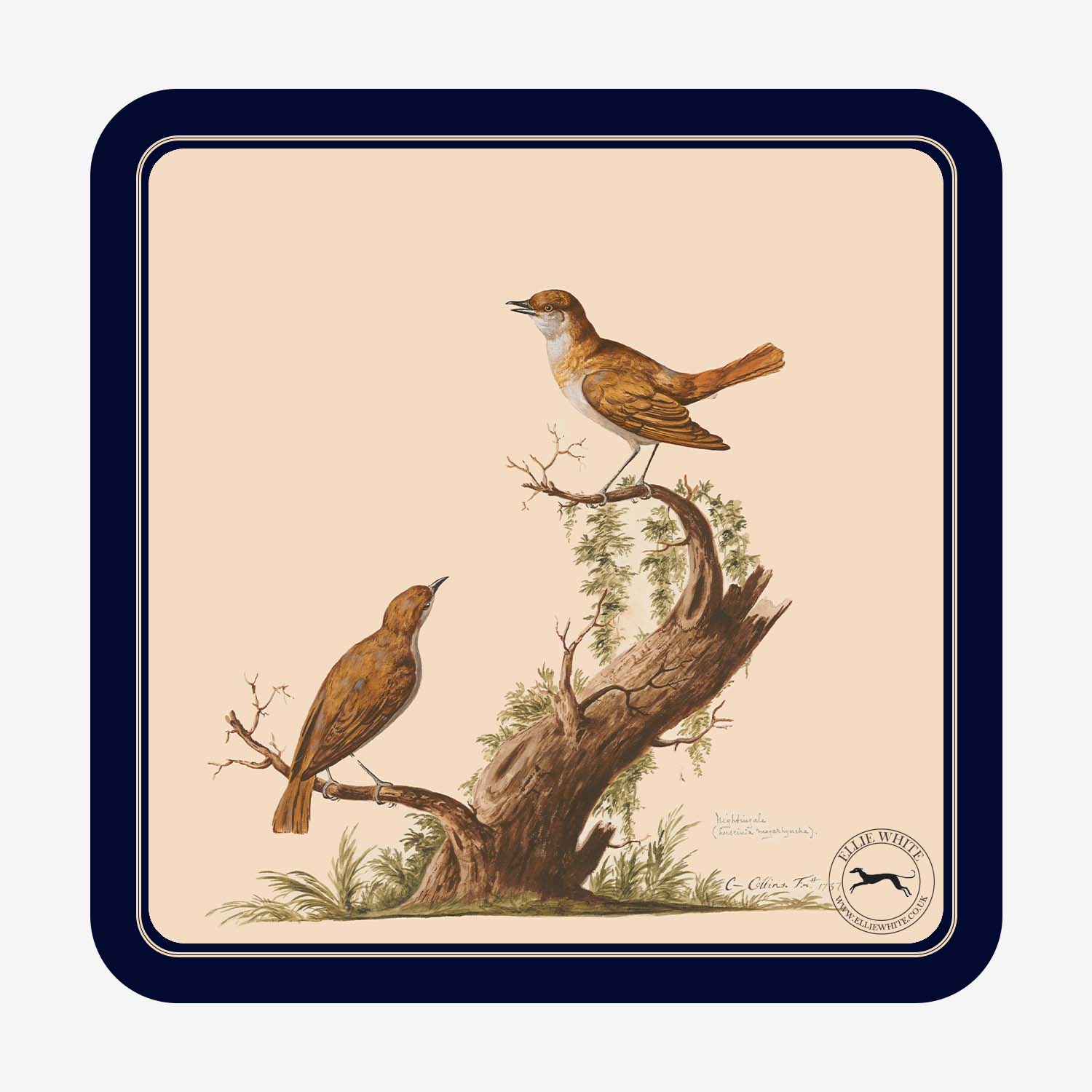 Nightingale Coaster | Nightingale Drinks Mat