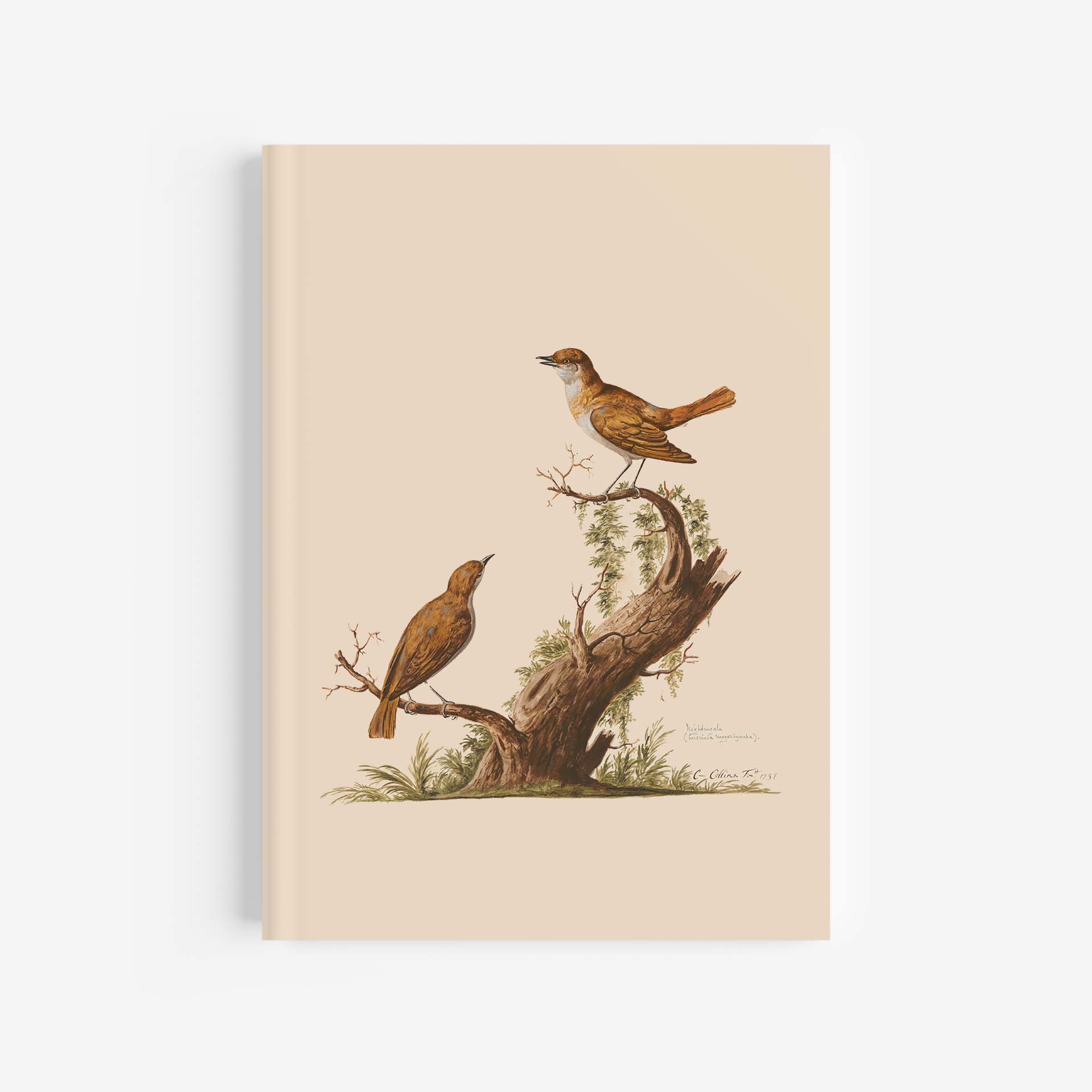 Featured image for “Nightingale Journal / Notebook - A4”