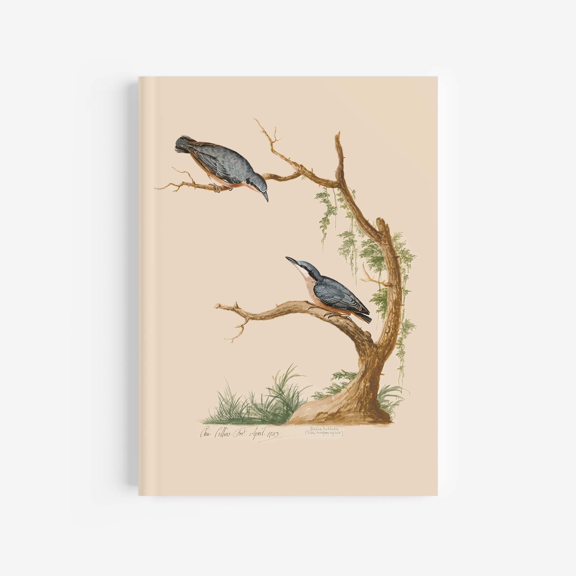 Nuthatch Journal / Notebook – A4