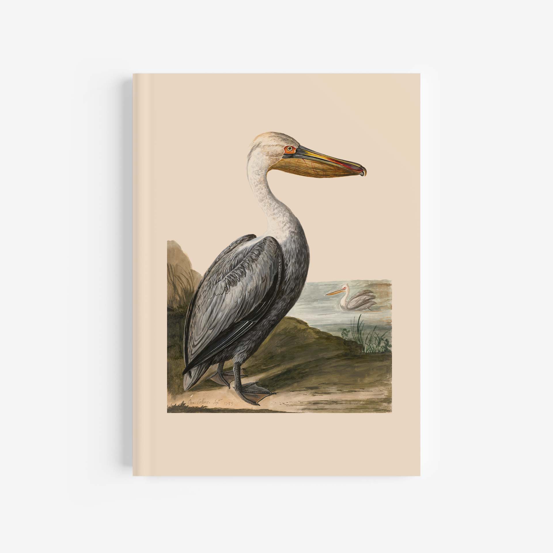 Featured image for “Pelican Journal / Notebook - A4”