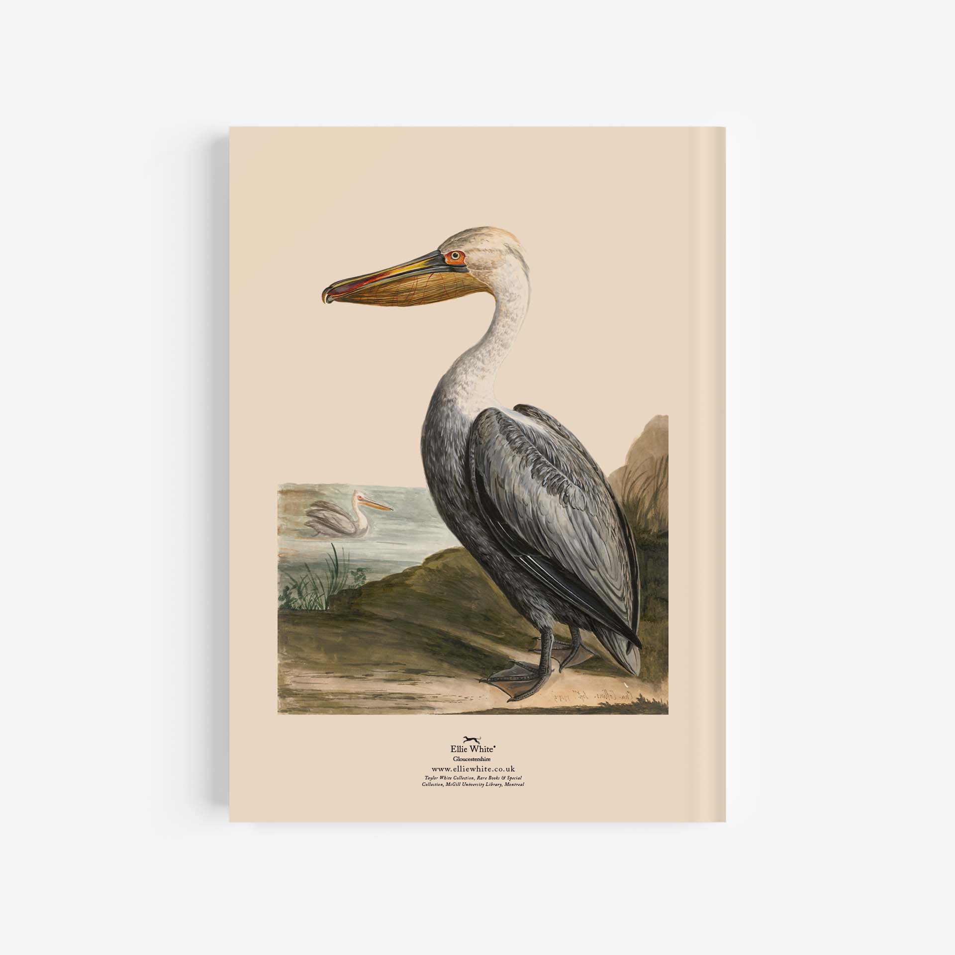 Pelican A4 Journal / Notebook Rear Cover