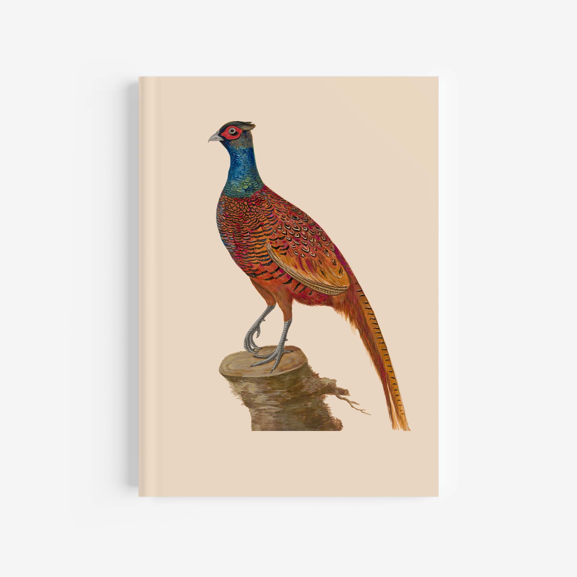 Featured image for “Pheasant Journal / Notebook - A4”