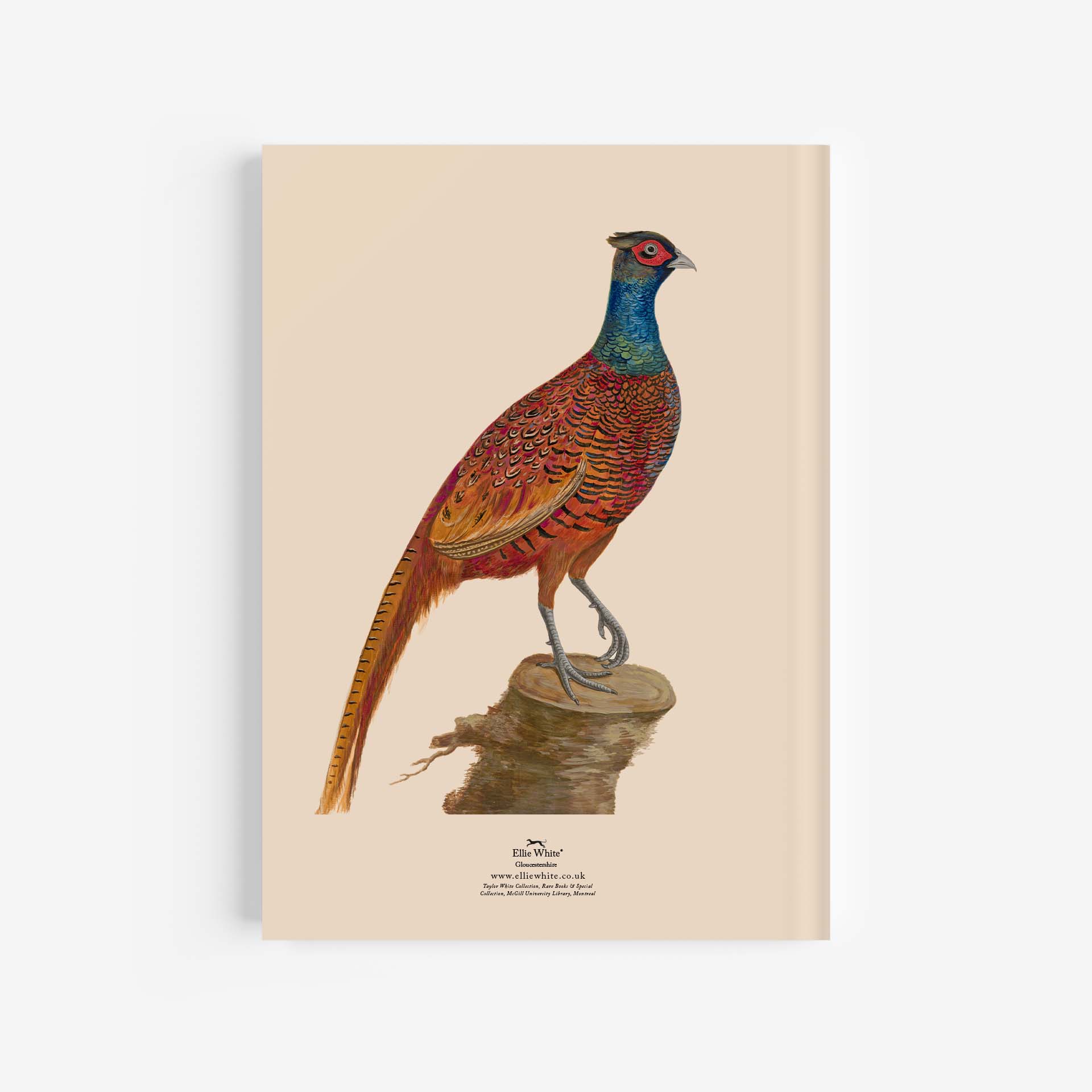 Pheasant A4 Journal / Notebook Rear Cover