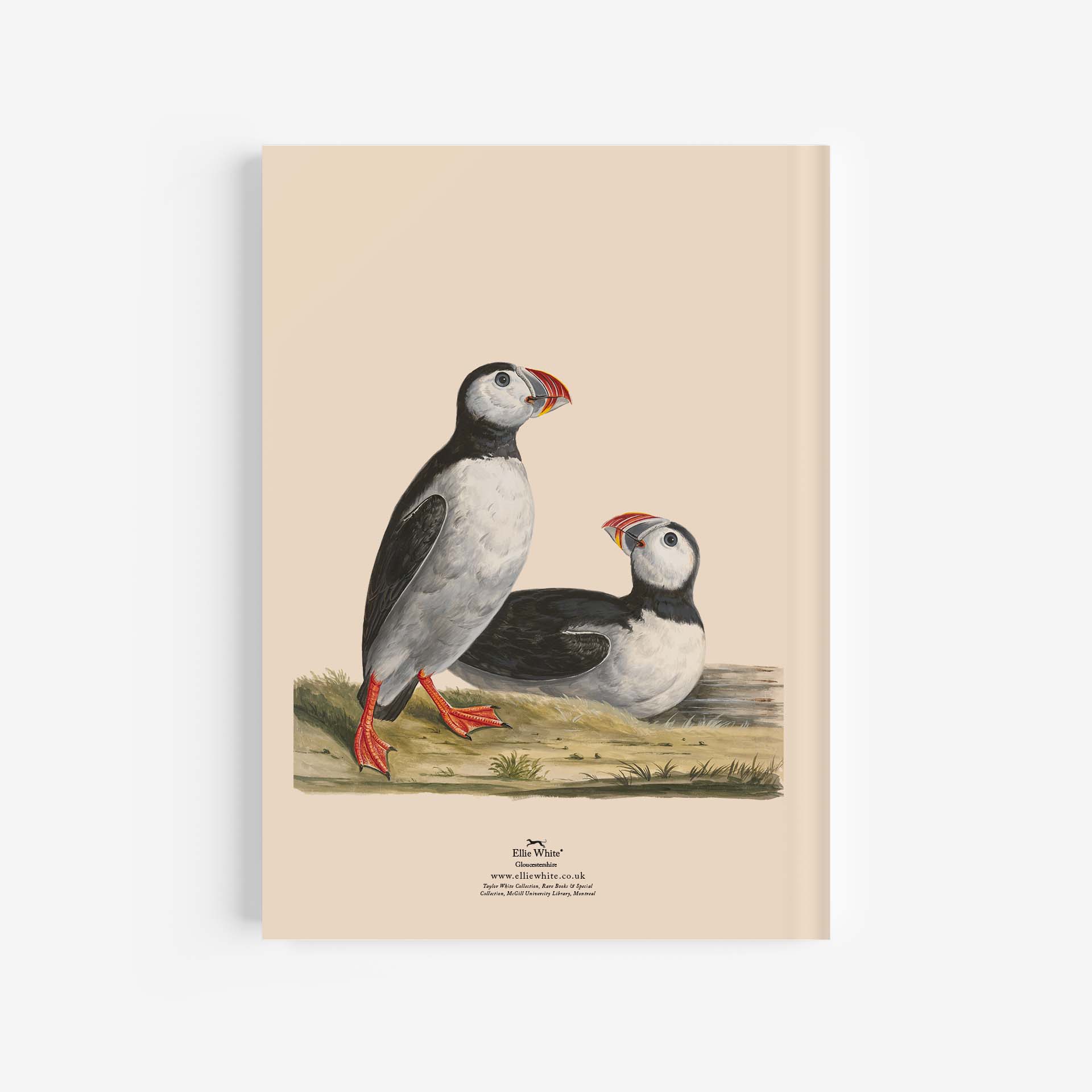 Puffin A4 Journal / Notebook Rear Cover