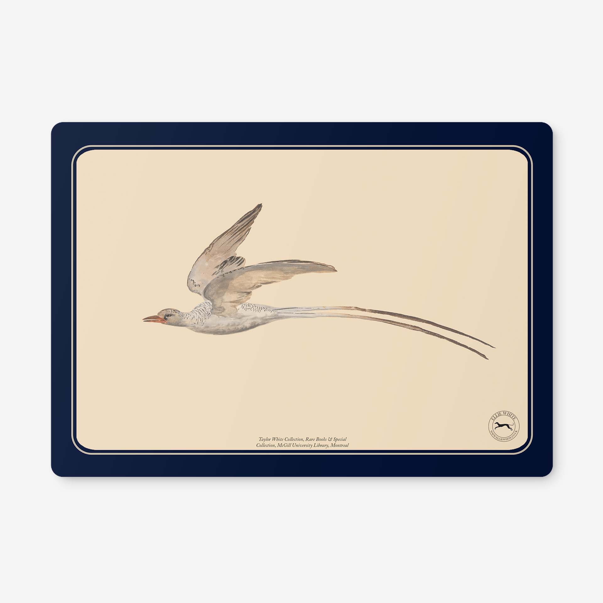 Red-Billed Tropicbird Placemat | Red-Billed Tropicbird Table Mat