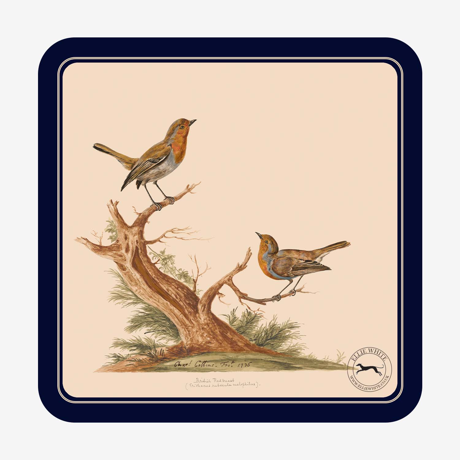 Robin Coaster | Robin Drinks Mat