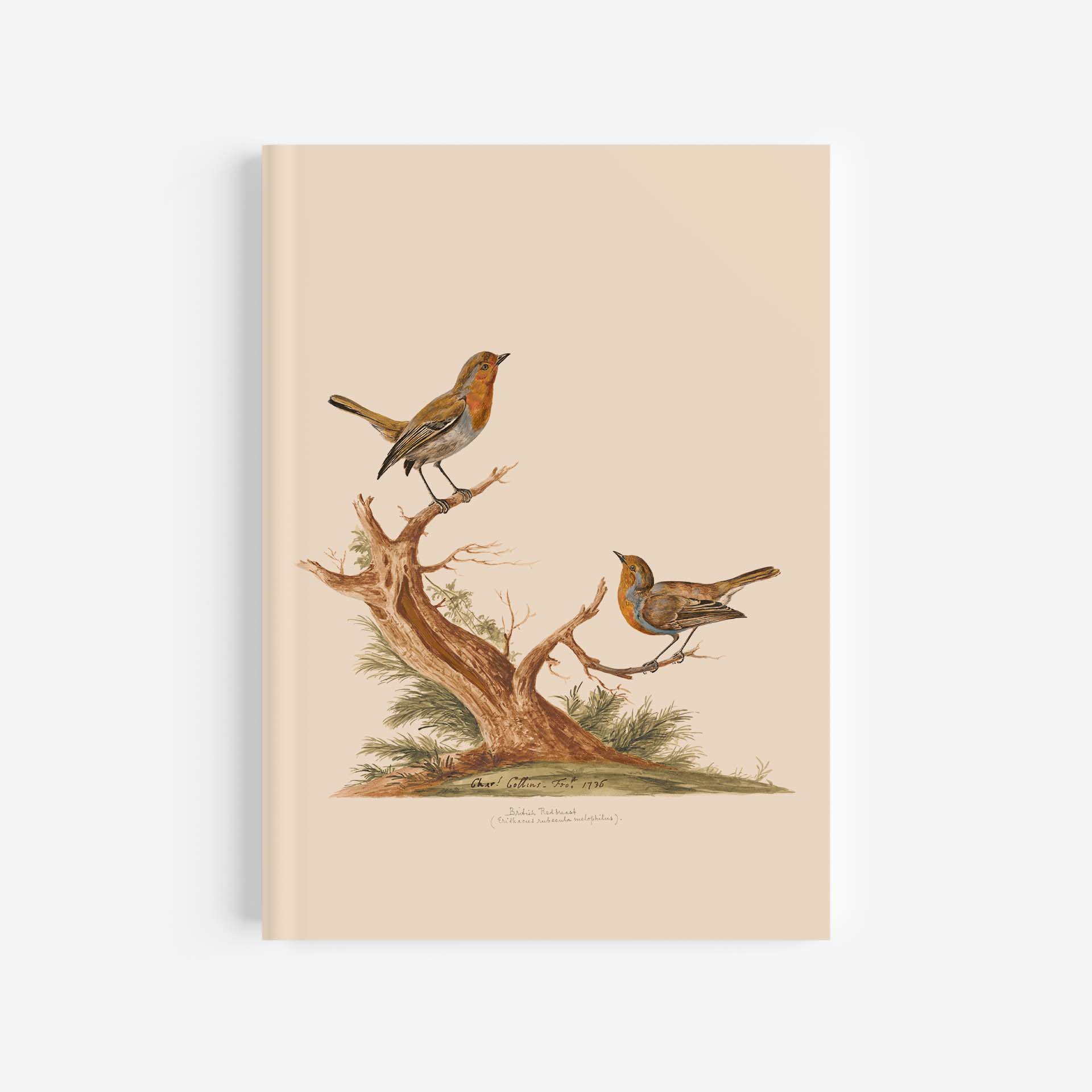 Featured image for “Robin Journal / Notebook - A4”