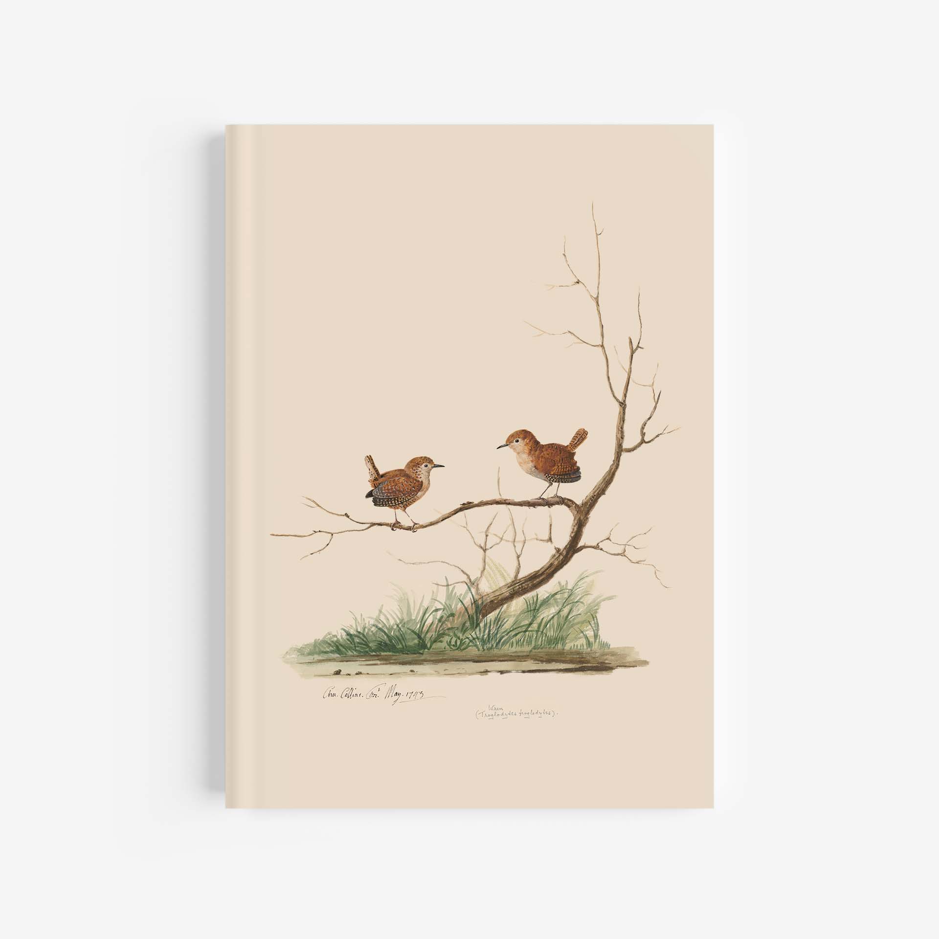 Featured image for “Wren Journal / Notebook - A4”